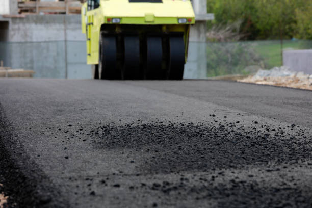 Best Best Driveway Pavers  in Pecan Plantation, TX
