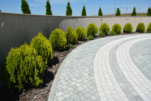 Best Concrete Paver Driveway  in Pecan Plantation, TX
